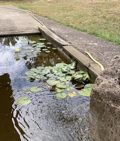 Clos Du Palens Agen - Que Des Amis, Que Du Bonheur *